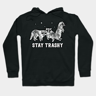 Stay Trashy Fox Funny Gift For Men Women Hoodie